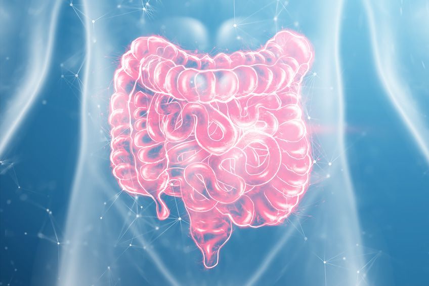 assorbimento-intestinale Sindrome dell'intestino gocciolante: quali sono i sintomi e come trattarla