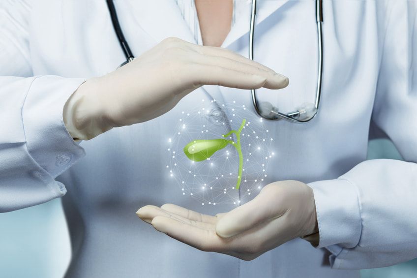 bile Bile: qual è la sua funzione e da cosa è composta