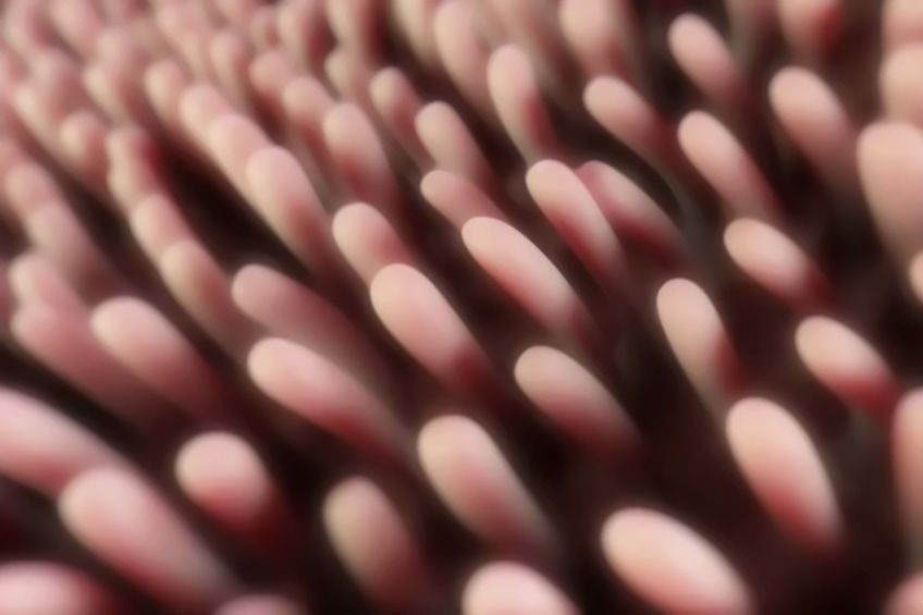 intestino-gocciolante Sindrome dell'intestino gocciolante: quali sono i sintomi e come trattarla