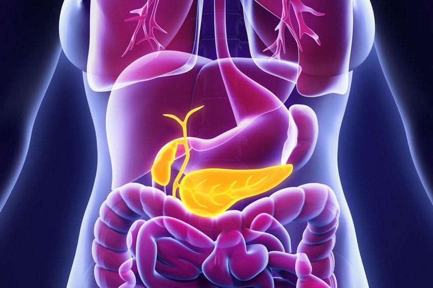 pancreas Pancreas: anatomia e funzionalità