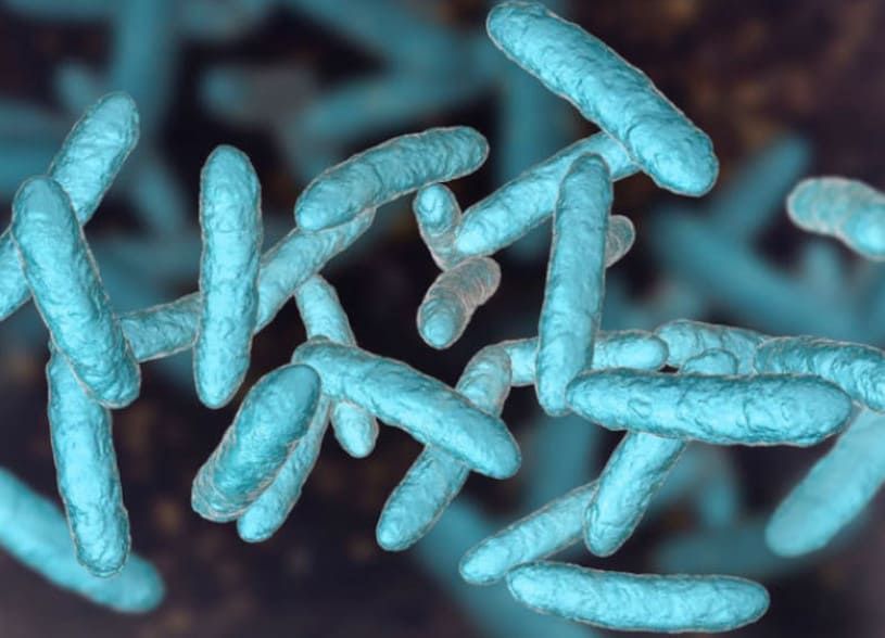 probiotici-importanti Probiotici: cosa sono, a cosa servono e come scegliere i migliori