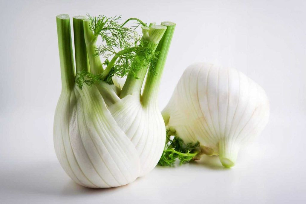 ricetta-di-finocchi-saporiti-1024x683 CENTRIFUGATI ALLEATI DELL'INTESTINO