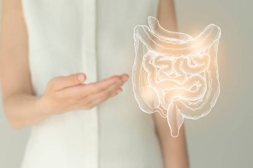 sistema-enterico Sistema nervoso enterico: com'è strutturato il "secondo cervello”