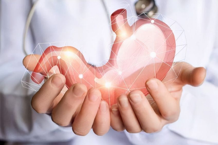 succhi-gastrici Succhi gastrici: cosa sono e come aiutano la digestione