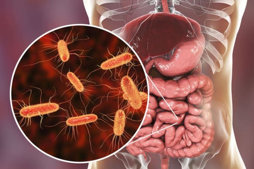virus-intestinale-gastroenterite Diarrea: cause, rimedi e cosa mangiare